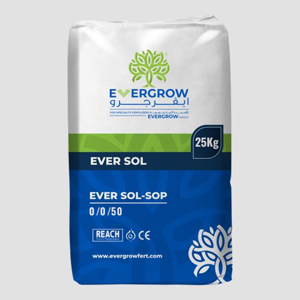 Ever Sol